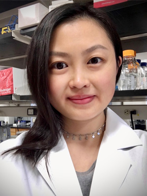 Xinwen Wang Ph.D.