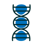 Graduate degrees and certificates icon