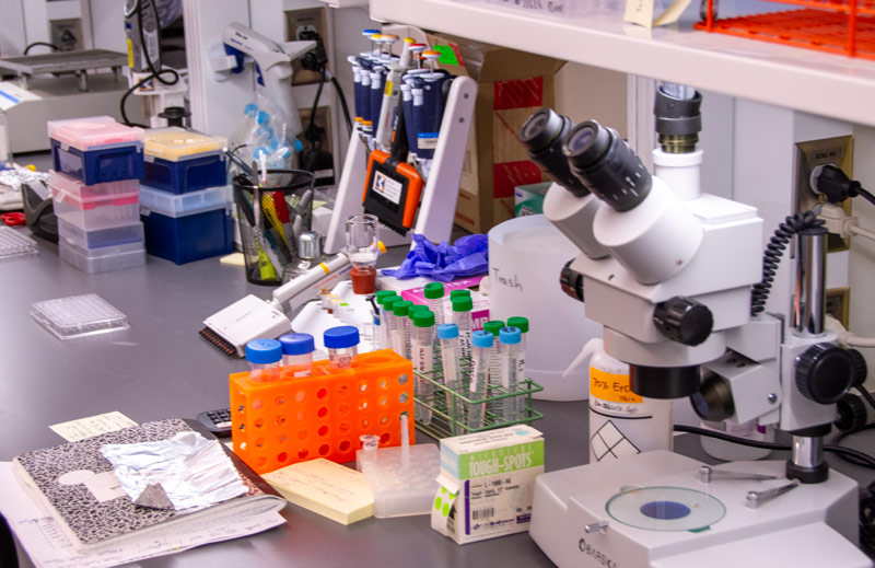 Colorful lab equipment in Dr. Fujiwara's lab.