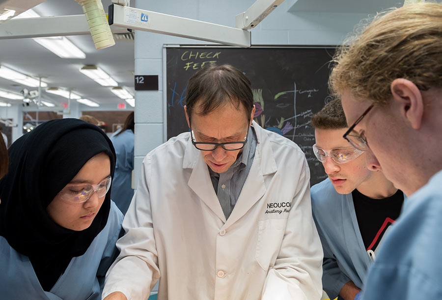 A faculty member leads a session in the anatomy lab.